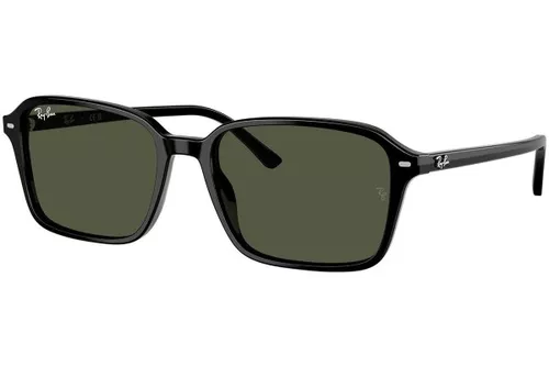 Ray-Ban RB2231 901/31